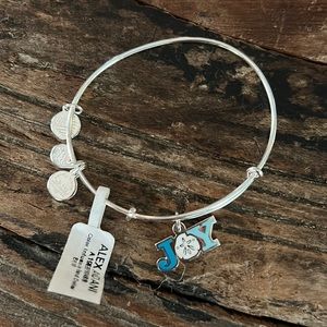 Alex and Ani 2019 Color Infusion Joy Sand Dollar silver tone bangle brac…